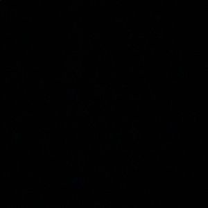 Meet your Posher, Lucas